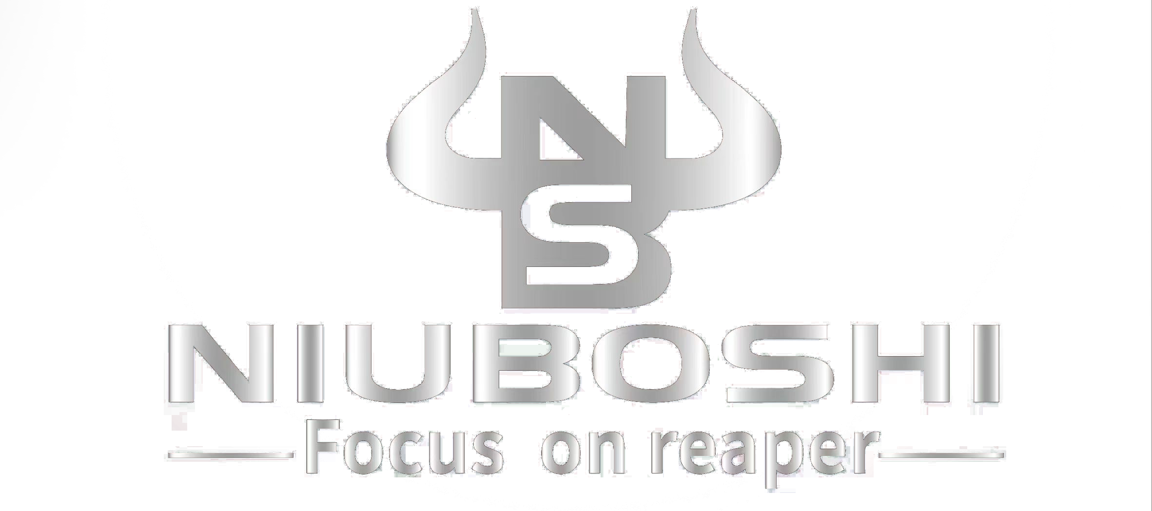 Read More About Hebei Niuboshi mechanical Equipment Co .,LTD