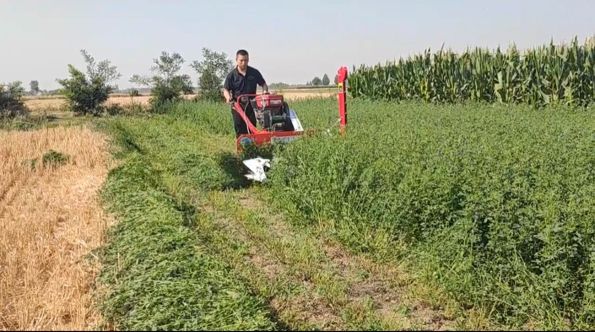 rice and wheat cutting machine