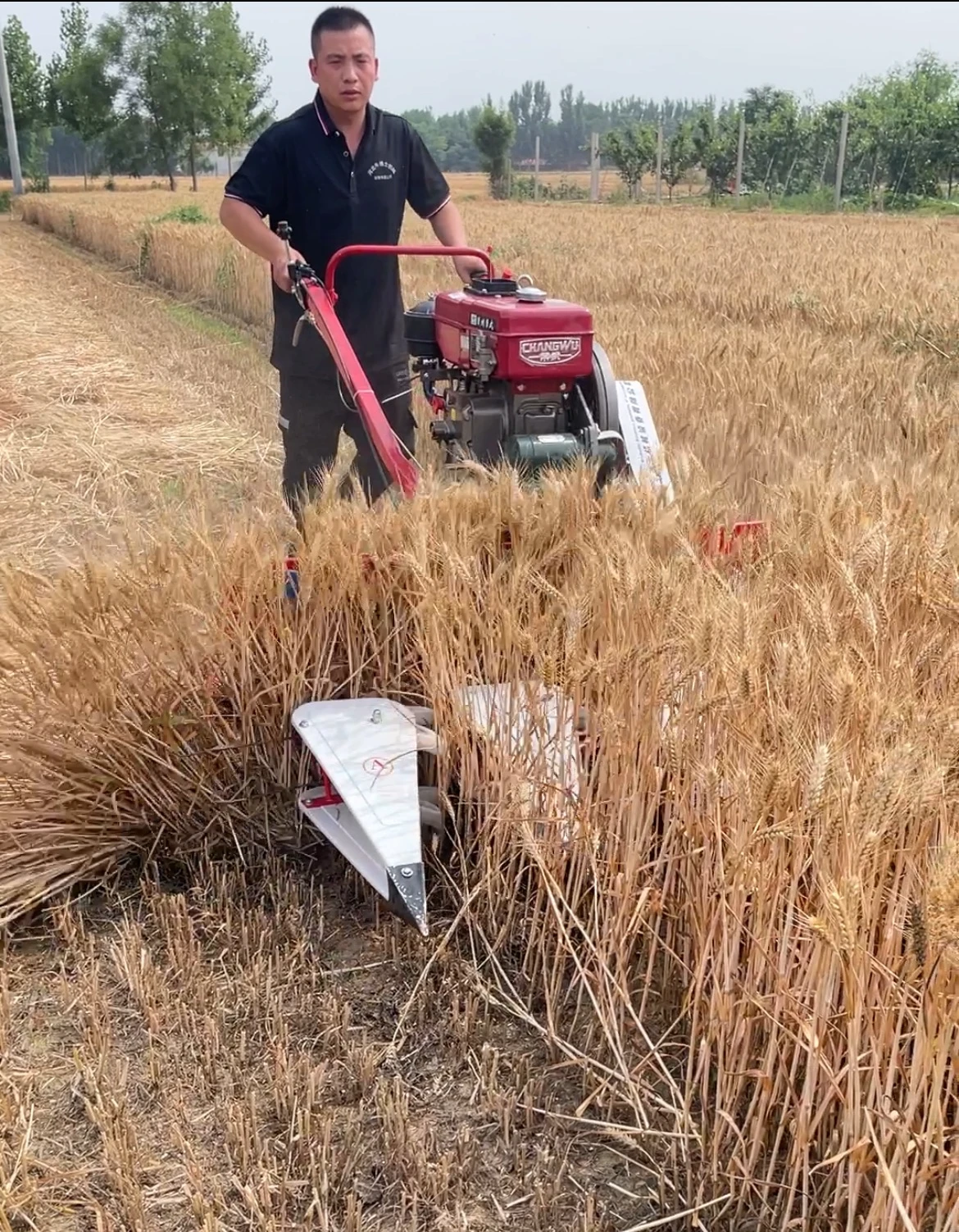 international 375 swather