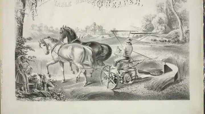reaper and binder combine harvester